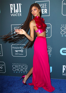 #zendaya #criticschoice #tomford #styledahlia